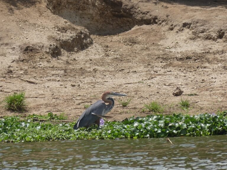 WhatsApp Image 2025-12-15 at 10.01.03 (1)