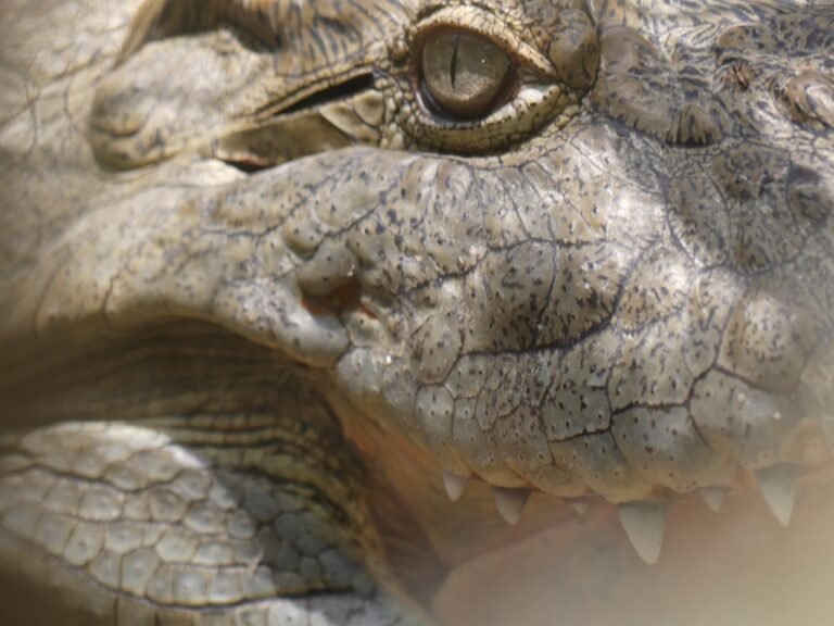 WhatsApp Image 2025-12-15 at 10.01.04 (1)