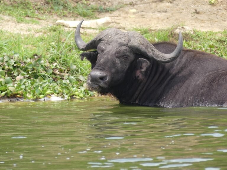 WhatsApp Image 2025-12-15 at 10.01.05