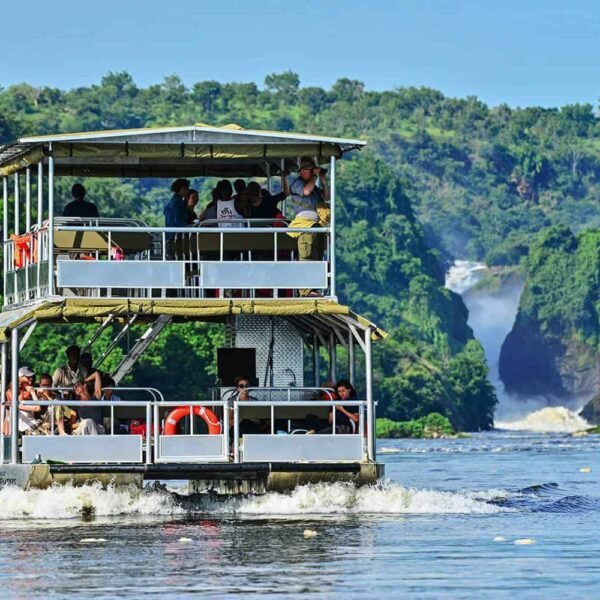 15-Day Uganda Expedition: Herping, Highlands & Hidden Safaris