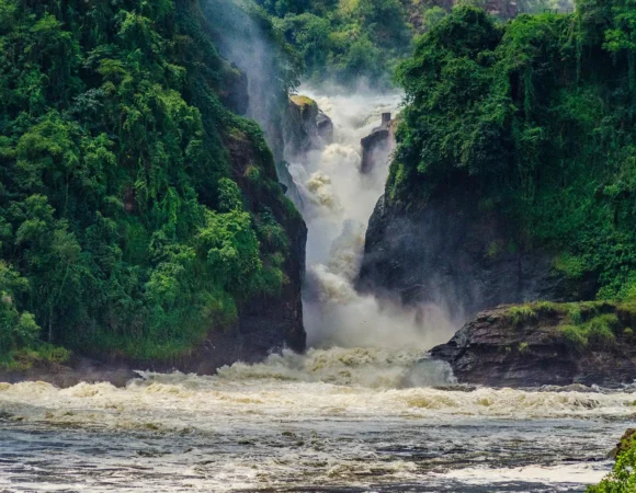 15-Day Uganda Adventure: From Forests to the Wild North