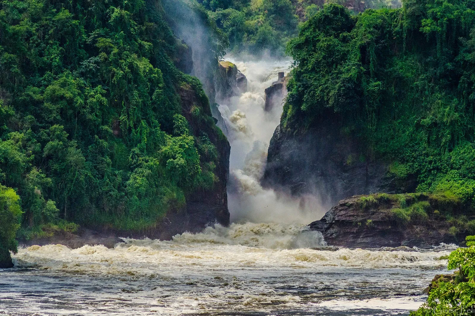  Murchison Falls NP
